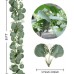 TOPHOUSE 2 Packs Artificial Silver Dollar Eucalyptus Leaves Garland 6 Feet Faux Seeded Eucalyptus Greenery Hanging Garland Vine for Wedding Baby Shower Holiday Greens